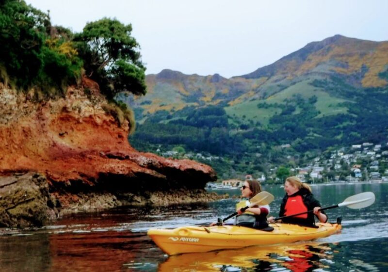 Akaroa: Akaroa Marine Reserve Sea Kayaking Tour - An Up-C Close Look at the Akaroa Marine Reserve Sea Kayaking Tour