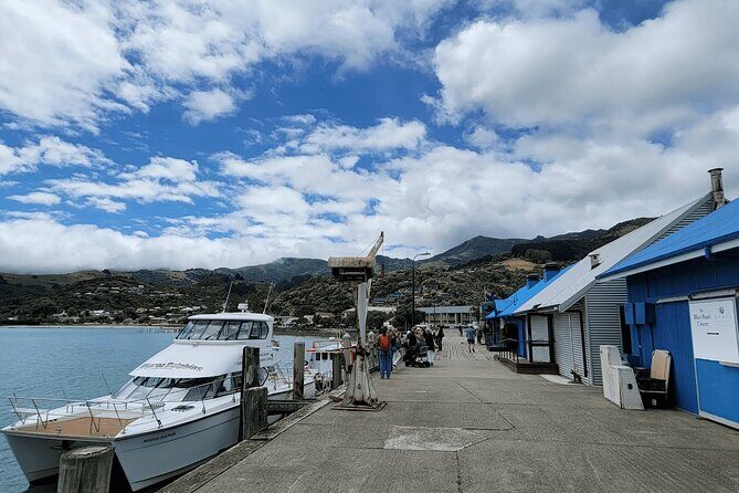 Akaroa and Akaroa Dolphins Day Tour - What’s Included and What You Should Budget For