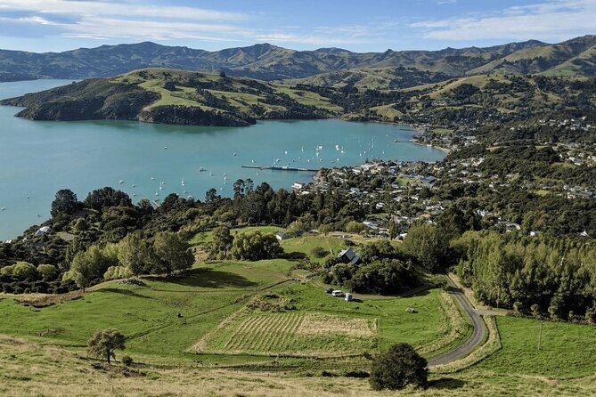 Akaroa and Akaroa Dolphins Day Tour - Frequently Asked Questions