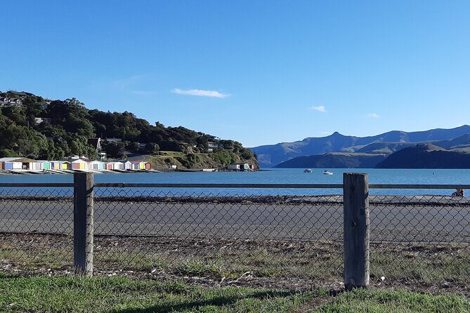 Akaroa & Banks Peninsula tour from Lyttelton (Shore Excursion) - Practical Details and Value
