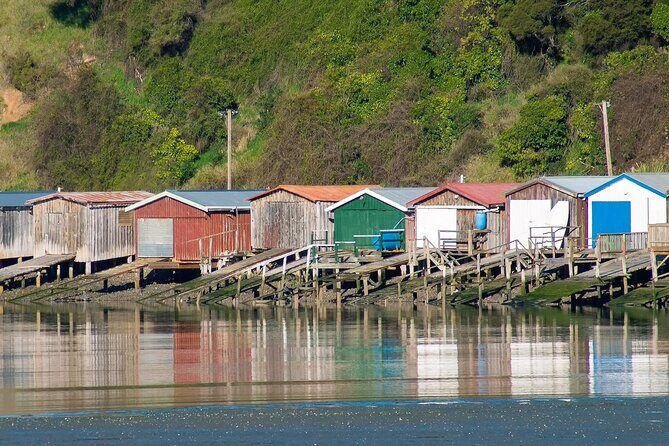 Akaroa & Banks Peninsula tour from Lyttelton (Shore Excursion) - Final Thoughts: Who Should Consider This Tour?