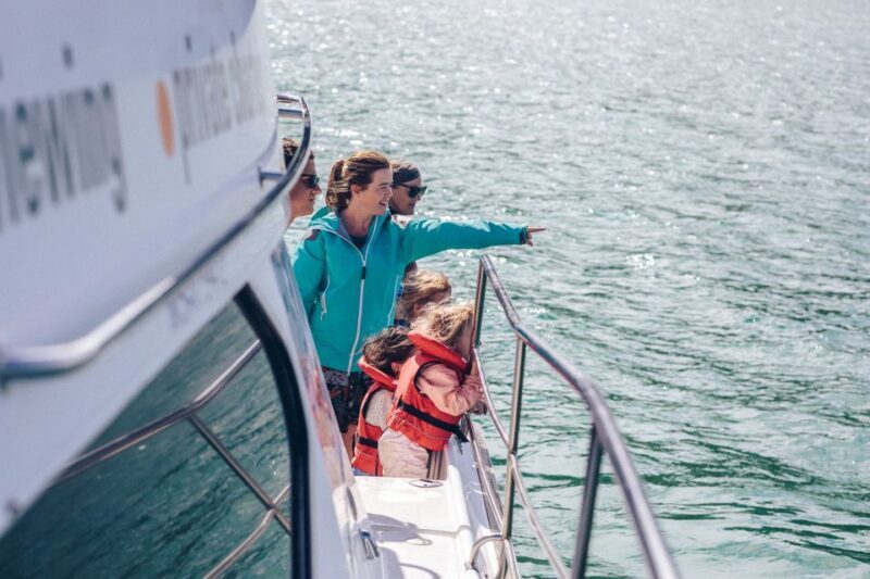 Akaroa: Dolphin Nature Cruise - FAQs