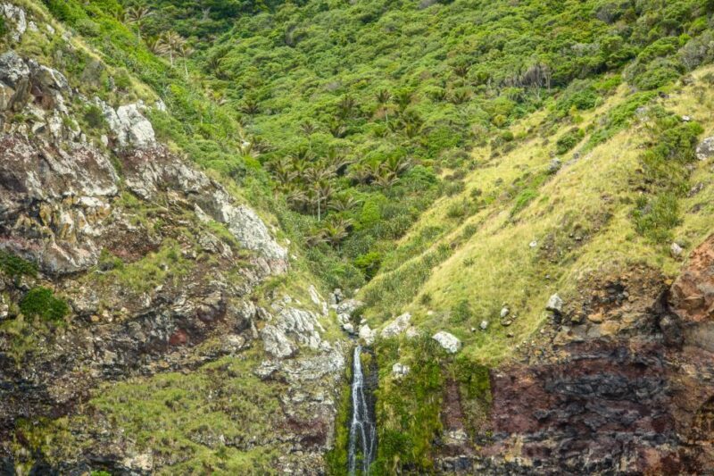 Akaroa: Dolphin Nature Cruise - In The Sum Up