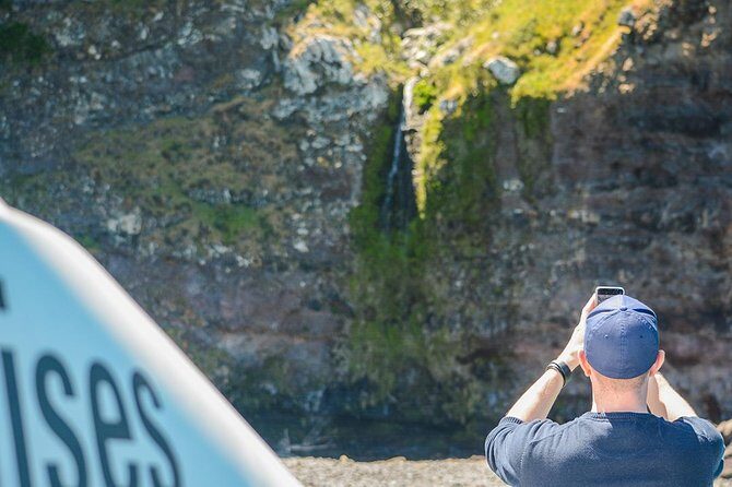 Akaroa Dolphins ~ Harbour Nature Cruise - The Sum Up: Is This Tour Right for You?