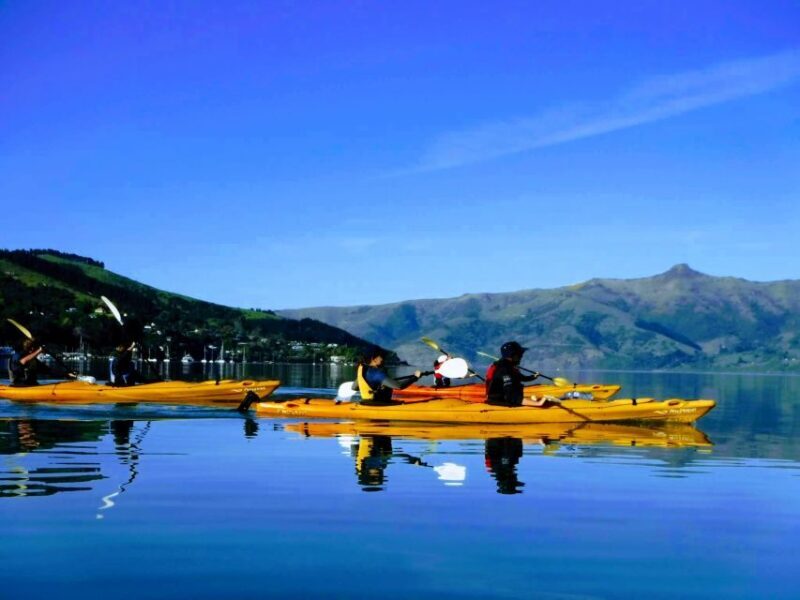 Akaroa: Electric Mountain Bike and Sea Kayak Adventure - Who Will Love This Tour?