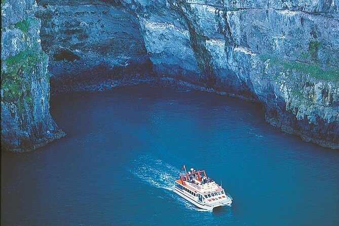 Akaroa Full Day Sightseeing Tour from Christchurch - In-Depth Review of the Akaroa Full Day Tour