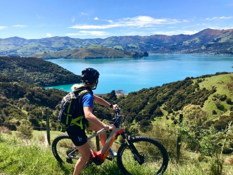 Akaroa: Guided Electric Mountain Bike Tour-Lava Loop - Key Points