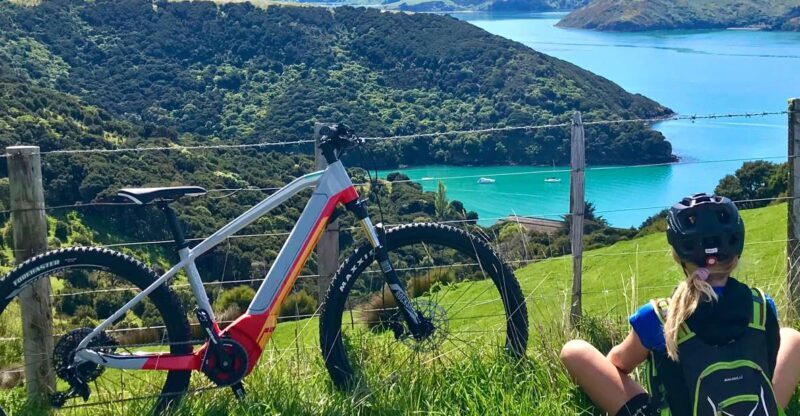 Akaroa: Guided Electric Mountain Bike Tour-Lava Loop - Who Should Consider This Tour?