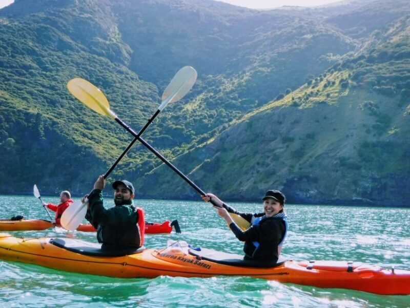 Akaroa: Guided Sunrise Sea Kayaking Tour - Final Thoughts