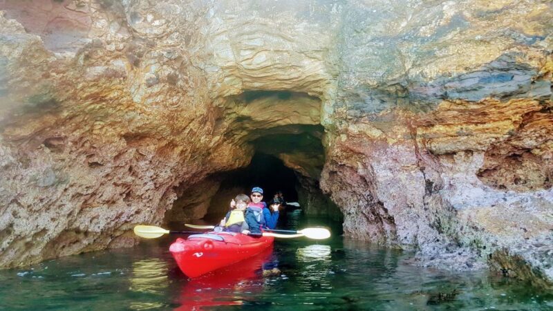 Akaroa: Guided Sunrise Sea Kayaking Tour - FAQ