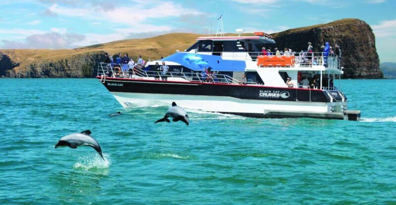 Akaroa Harbour 2-Hour Dolphin Nature Cruise - Who Should Consider This Tour?
