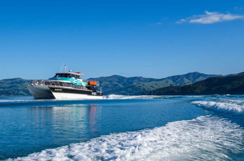 Akaroa Harbour 2-Hour Dolphin Nature Cruise - FAQ