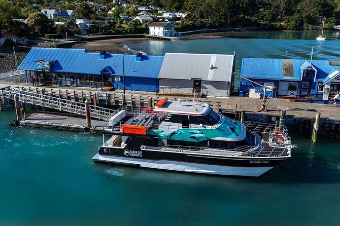Akaroa Harbour Nature Cruise - Final Thoughts: Is the Akaroa Harbour Nature Cruise Worth It?
