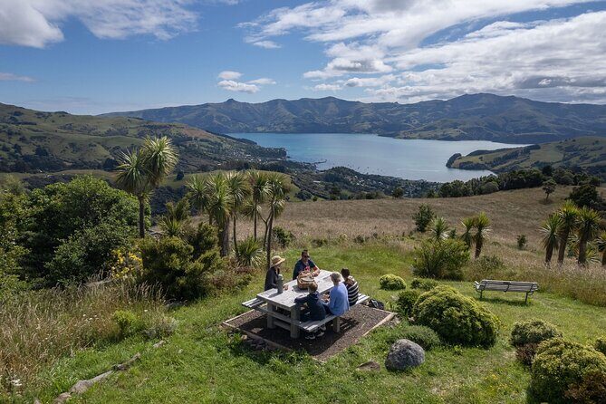 Akaroa Nature and History Tour - The 7th Generation - Discover the Best of Akaroa with The 7th Generation