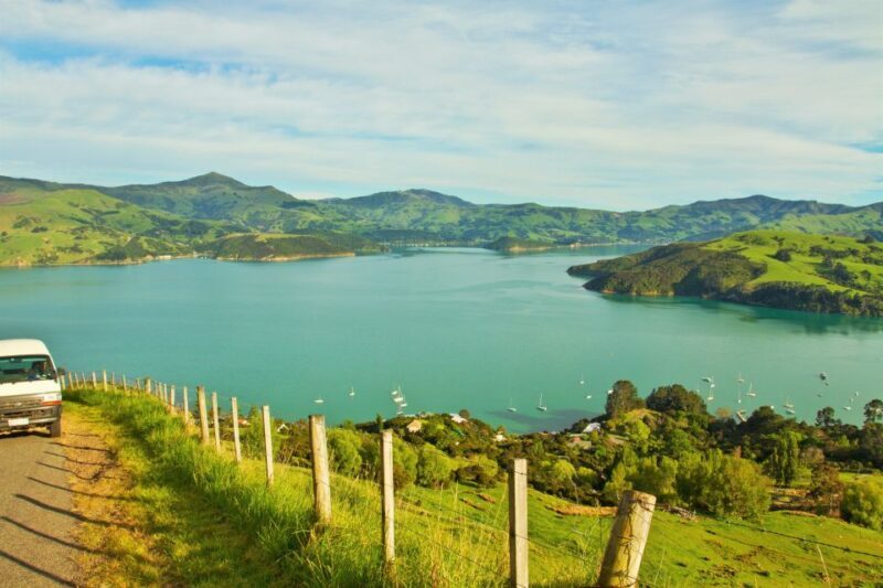 Akaroa: Pohatu Penguins Scenic Nature 2-Hour or 4-Hour Tour - An In-Depth Look at the Pohatu Penguins Scenic Nature Tour