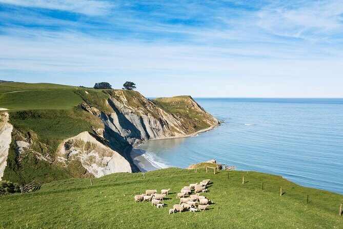 Akaroa Private Day Tour From Christchurch (Carbon Neutral) - FAQ