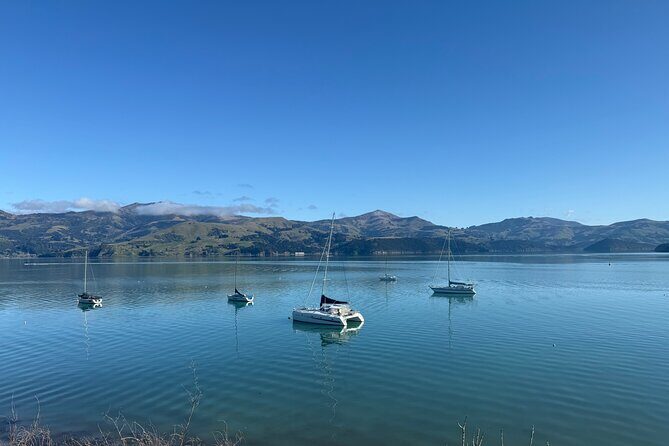 Akaroa Private Day Tour from Christchurch - Who Should Consider This Experience?