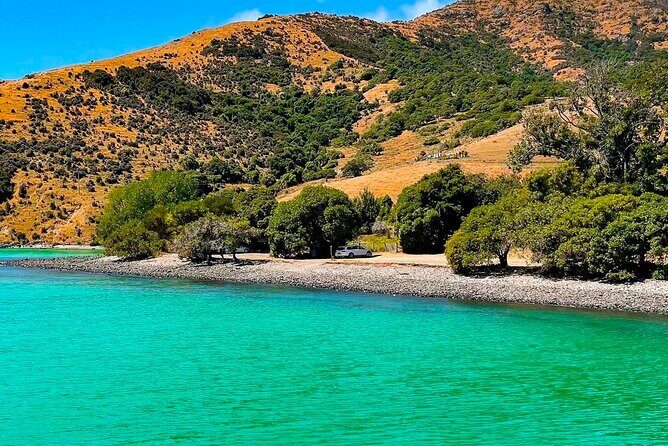 Akaroa Private Group Day Trip from Christchurch - A Day to Remember: Akaroa Private Group Day Trip from Christchurch