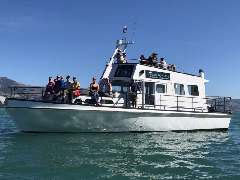 Akaroa: Scenic Coastline Wildlife Cruise - FAQ