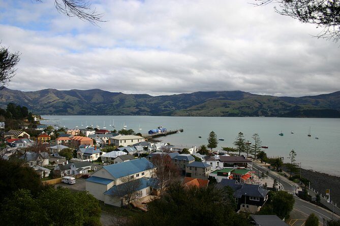 Akaroa Shore Excursion: Akaroa Harbour and Giants House Local Tour - A Closer Look at the Itinerary: What You Can Expect