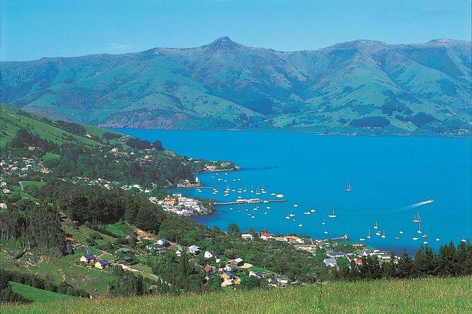 Akaroa Shore Excursion: Akaroa Harbour and Giants House Local Tour - Who Will Love This Tour?
