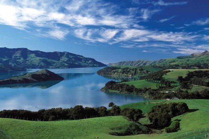 Akaroa Shore Excursion: Banks Peninsula, Christchurch City and Giants House Tour - Key Points