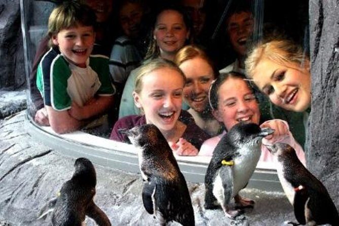 Akaroa Shore Excursion: Banks Peninsula, Christchurch City Tour and the International Antarctic Centre - FAQs about the Akaroa Shore Excursion
