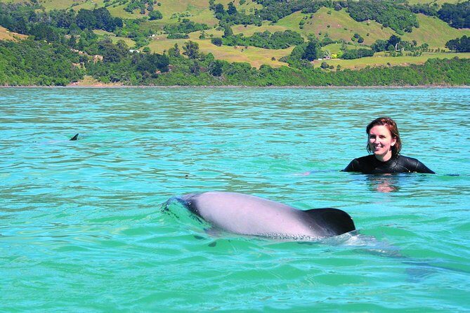 Akaroa Swim with Dolphins Tour from Christchurch - The Journey from Christchurch to Akaroa