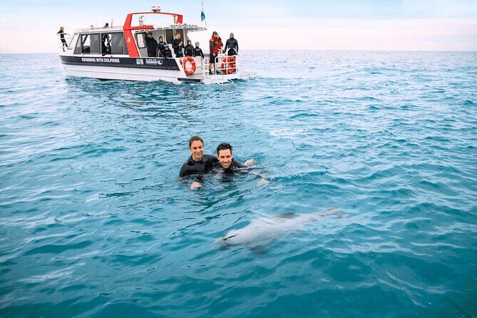 Akaroa Swim with Dolphins Tour from Christchurch - Free Time and Local Flavors
