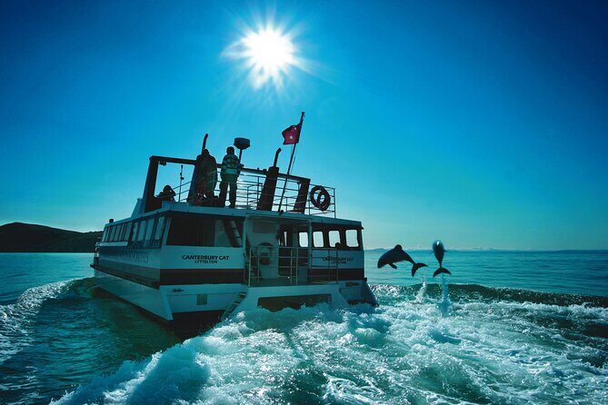 Akaroa Swim with Dolphins Tour from Christchurch - Returning to Christchurch