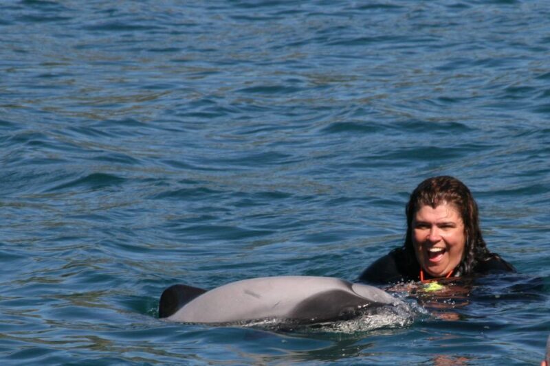 Akaroa: Swimming with Wild Dolphins Experience - The Sum Up