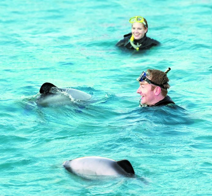 Akaroa: Swimming with Wild Dolphins Experience - FAQ