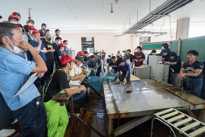 Akashi Private Tour: Fish Auction and Sushi Lunch - Experience the Heart of Akashi: Fish Auction, Sushi, and More