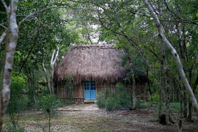 Ake Ruins & Homun Cenotes Day Tour from Merida - Key Points