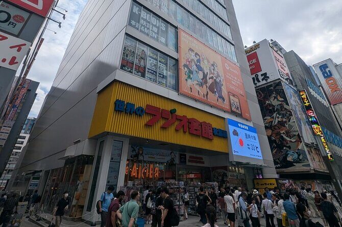 Akihabara Anime and Pop Culture Walking Tour - Who Should Take This Tour?