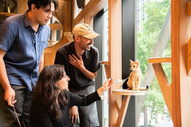 Akihabara Pop Culture and Relaxing Cat Café Tour with Local Guide - Akihabara Pop Culture and Relaxing Cat Café Tour with Local Guide