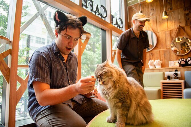 Akihabara Pop Culture and Relaxing Cat Café Tour with Local Guide - From Landmarks to Leisure: The Cat Café Experience