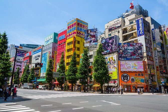 Akihabara Pop Culture Tour - Discover Tokyo’s Otaku Heart with the Akihabara Pop Culture Tour