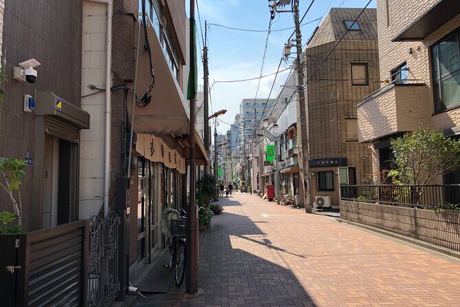 Akihabara Tofu Making Class and Shopping Tour - Key Points