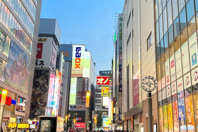 Akihabara Tour with Anime and Video Games Otaku Licensed Guide - Key Points