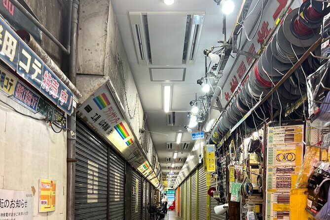Akihabara Tour with Anime and Video Games Otaku Licensed Guide - What to Expect from This Unique Experience