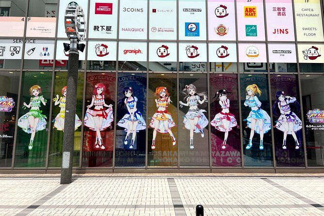 Akihabara Tour with Anime and Video Games Otaku Licensed Guide - Who Will Get the Most from This Tour?