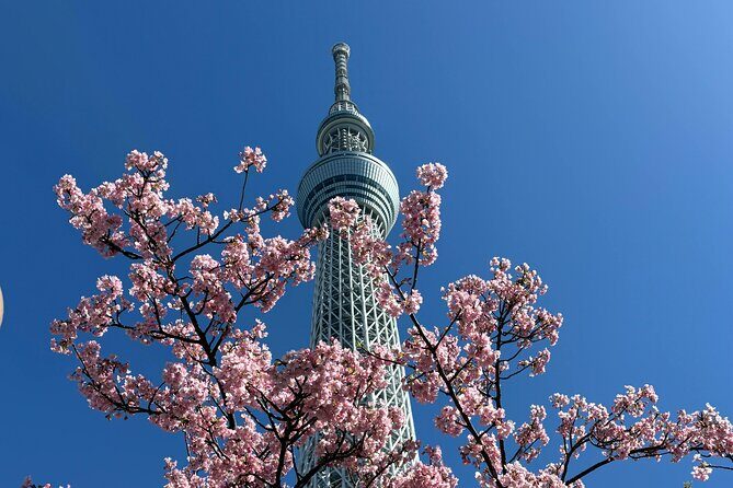 Akihabara Ultimate Anime & Gaming Tour with Maid Café Experience - Is This Tour Right for You?