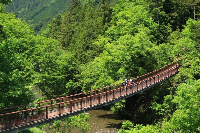 Akiruno Electric Bike & Nature Half-Day Tour - A short river trek to a waterfall