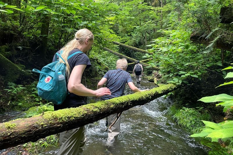 Akiruno Electric Bike & Nature Half-Day Tour - Lunch by the river, with room for local snacks