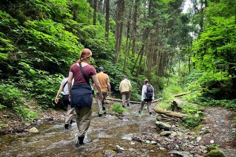 Akiruno Electric Bike & Nature Half-Day Tour - Who will enjoy the ride most