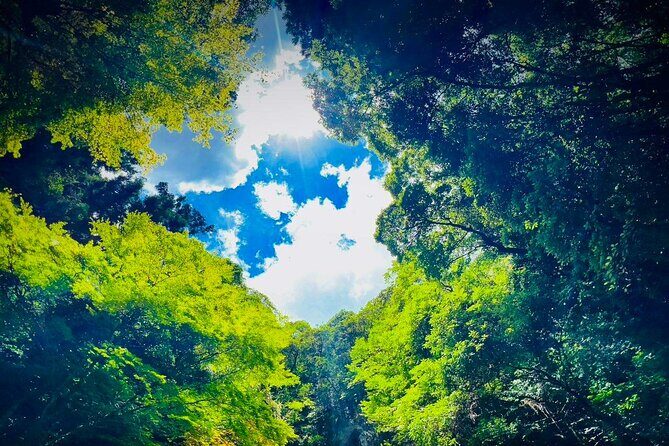 Akiyoshido Cave & Motonosumi Shrine Coastline & Spelunking Tour - The Sum Up: Who Is This Tour Best For?