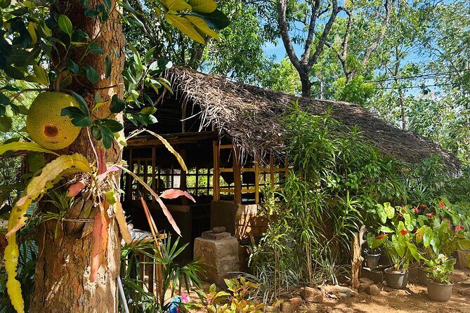 Akka Nago Cooking Class & Resturant - Practical Details and Tips