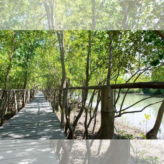 Aklan Vibrant Kalibo Tour (Half Day) - In-Depth Review of the Aklan Vibrant Kalibo Tour