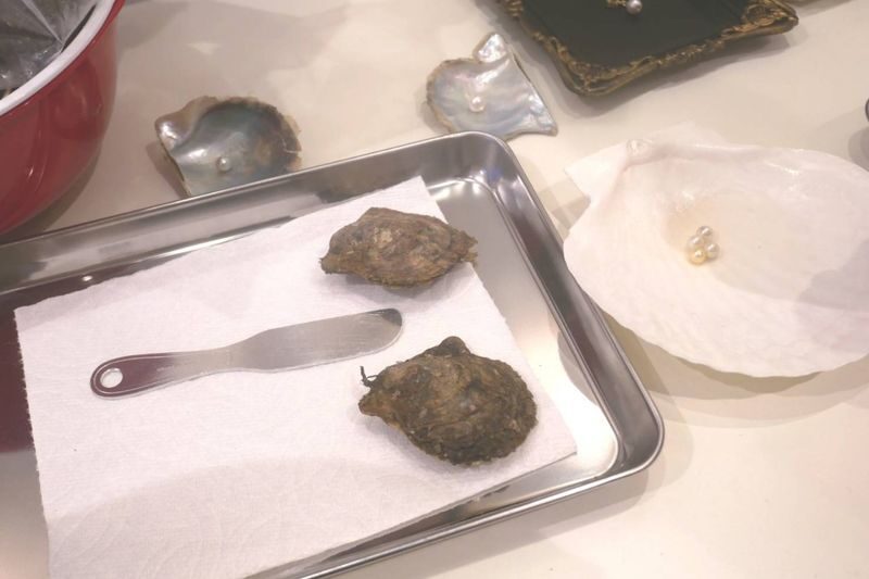 Akoya Pearl Harvesting Experience (Osaka) - A pearl hunt, not a pearl farm tour